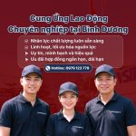 Cung ứng lao động Bình Dương chuyên nghiệp, chất lượng