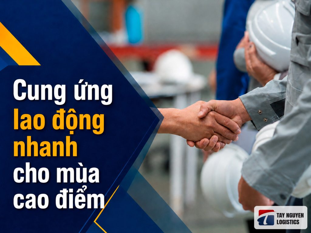 Cung ứng lao động nhanh cho mùa cao điểm